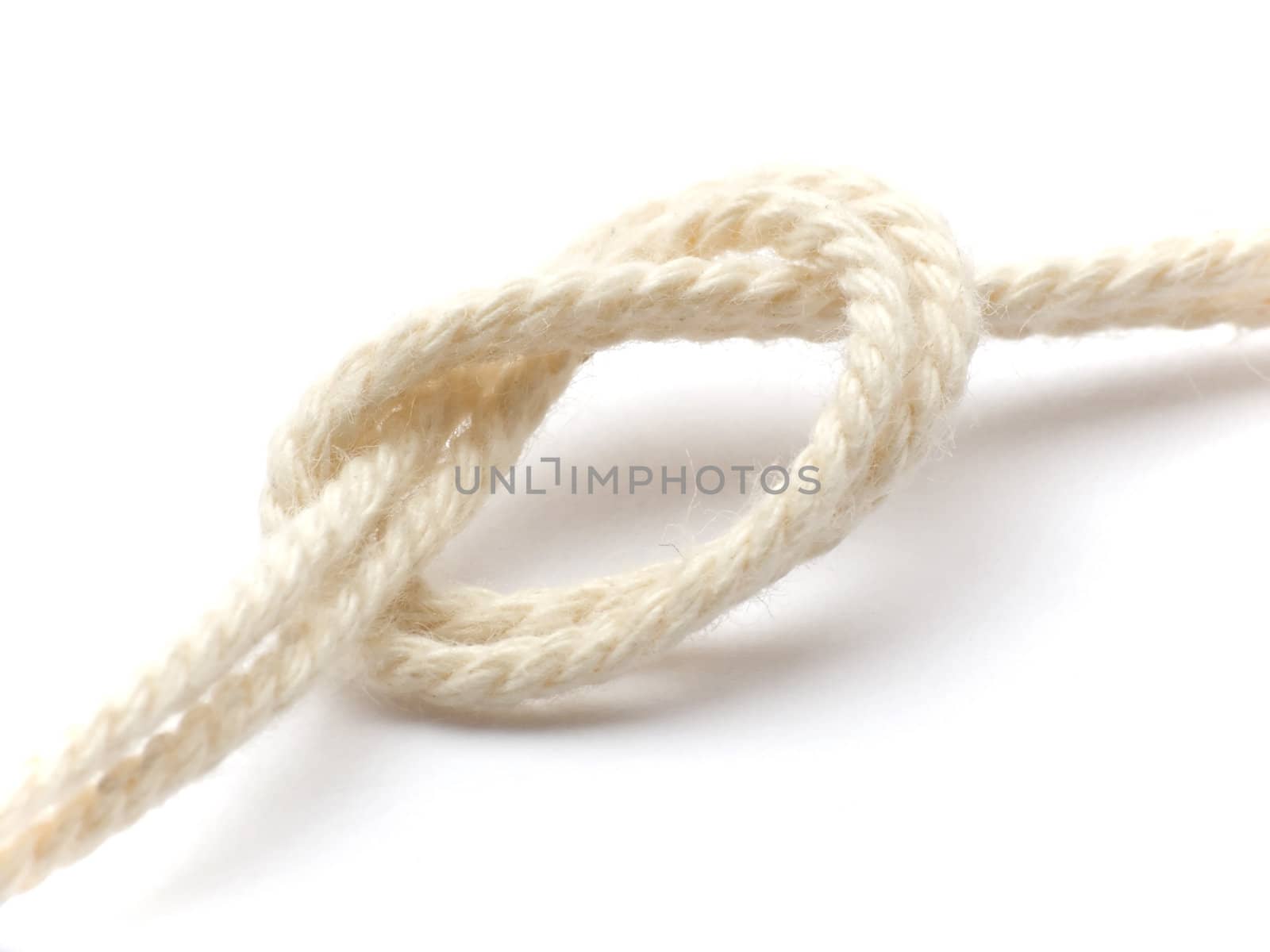 Macroshot of a knot in a string