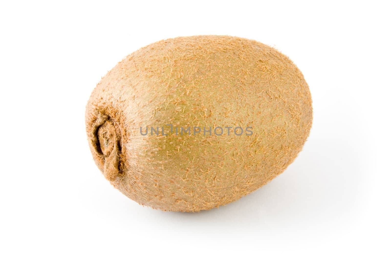 Kiwi isolated on a white background