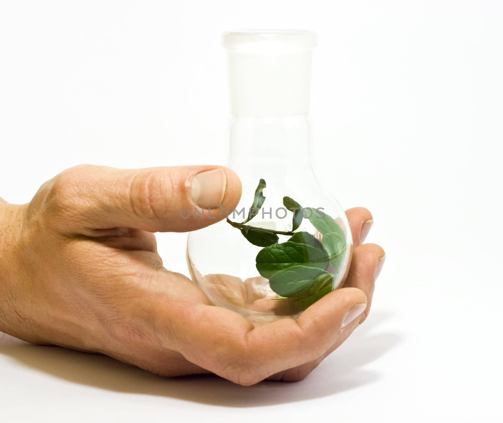 Hand holding chemistry flask with green plant