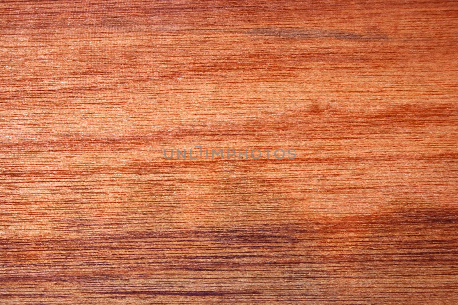 Close-up of the texture of a wood, useful in design as background.