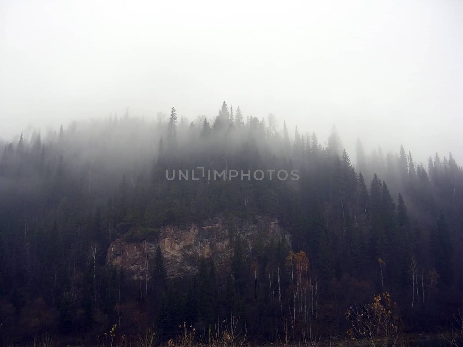 Fog in mountains. by SGV