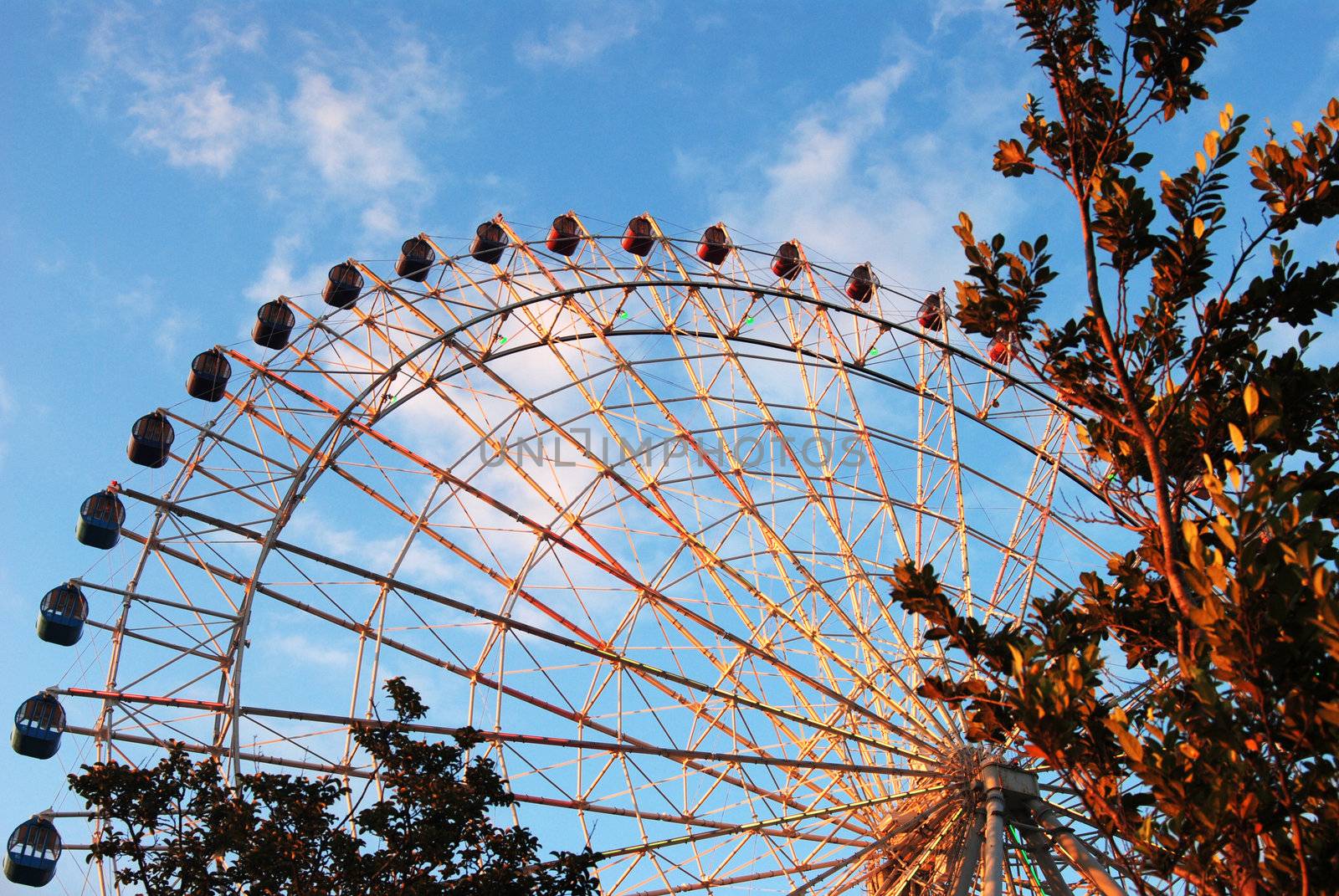 Large view of ferris wheel. framed by leaves right and bottom against blue sky