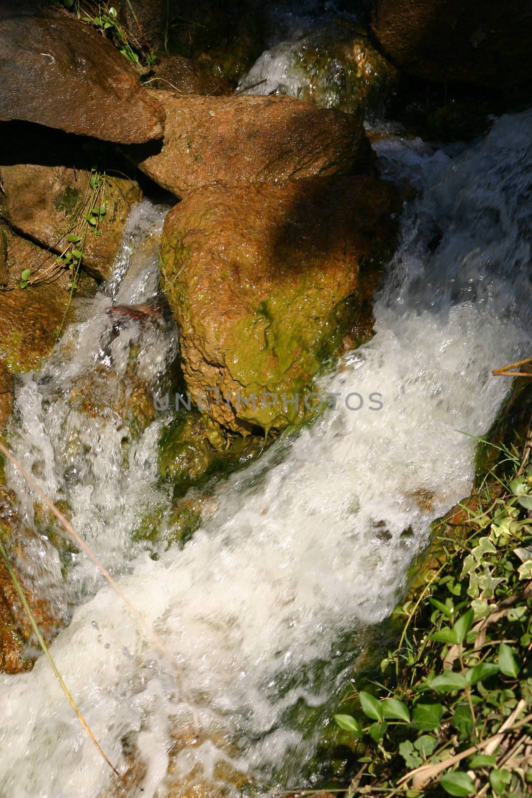 water fall rushing around a slimey rock