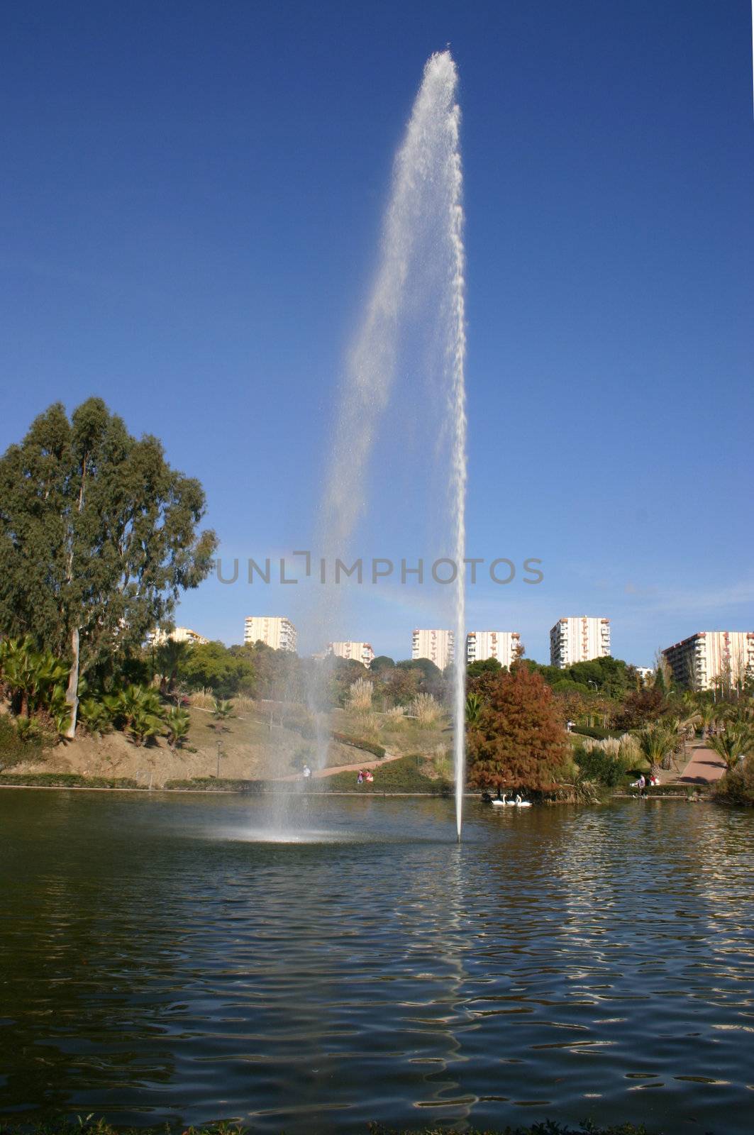 large water fountain in the centre of a lake