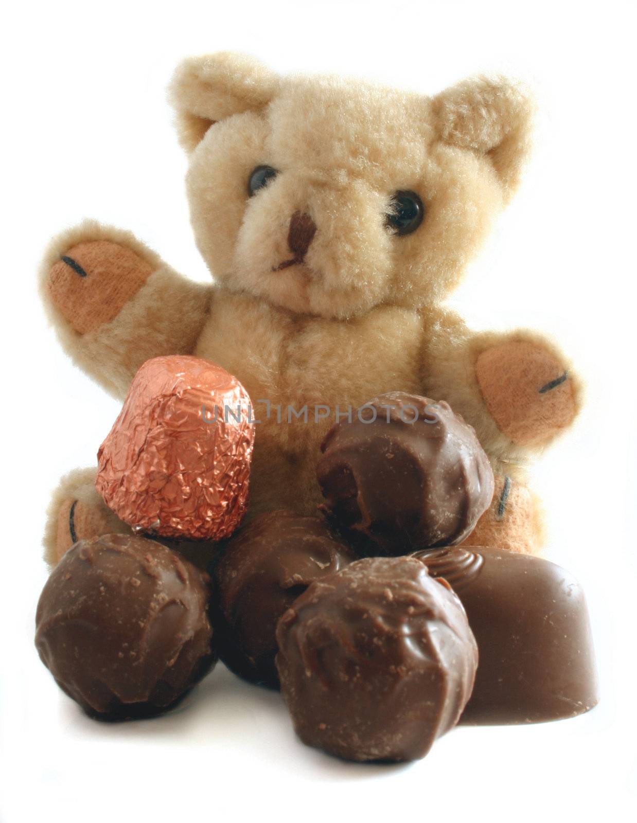 teddy and chocolates