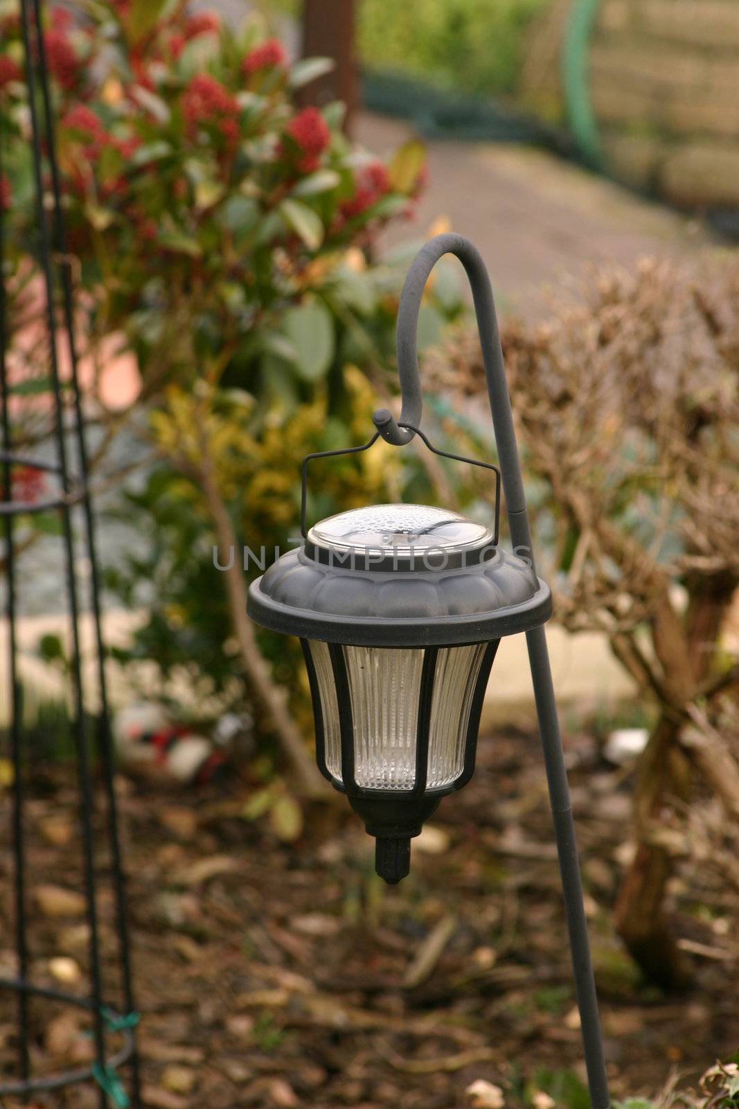 solar powered garden lighting