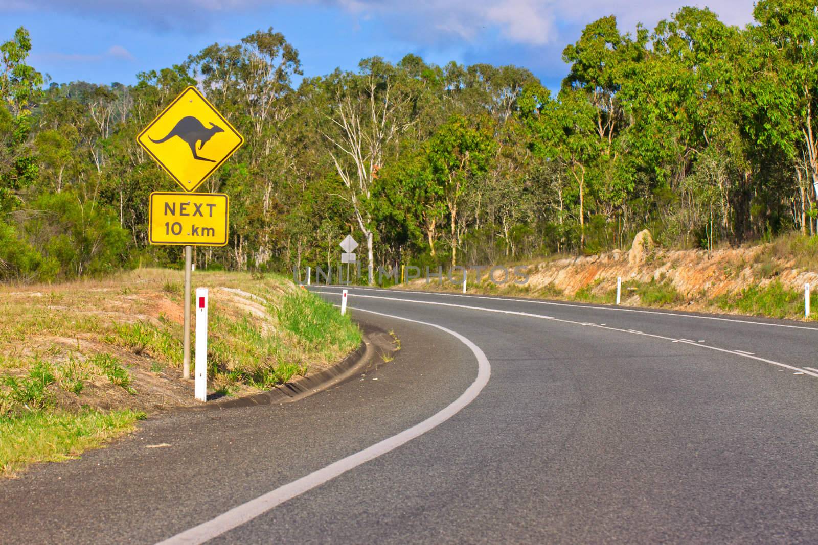 Kangaroo road warning sign on a country road by Jaykayl