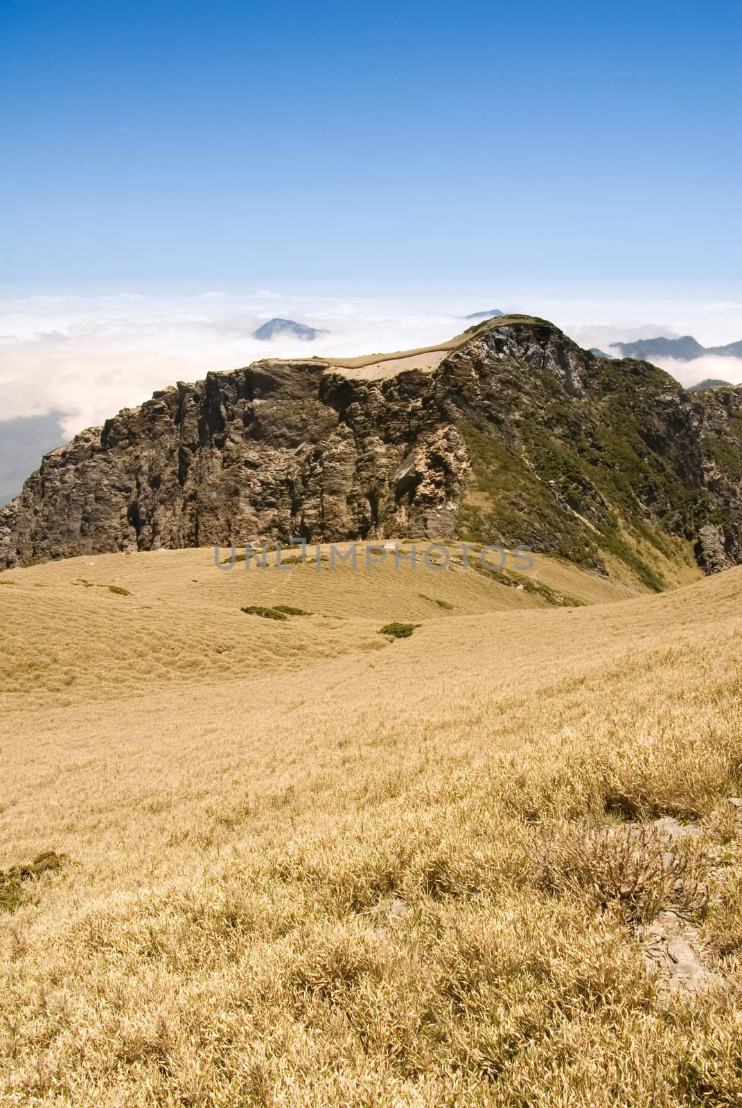 It is the beautiful grassland with mountain.