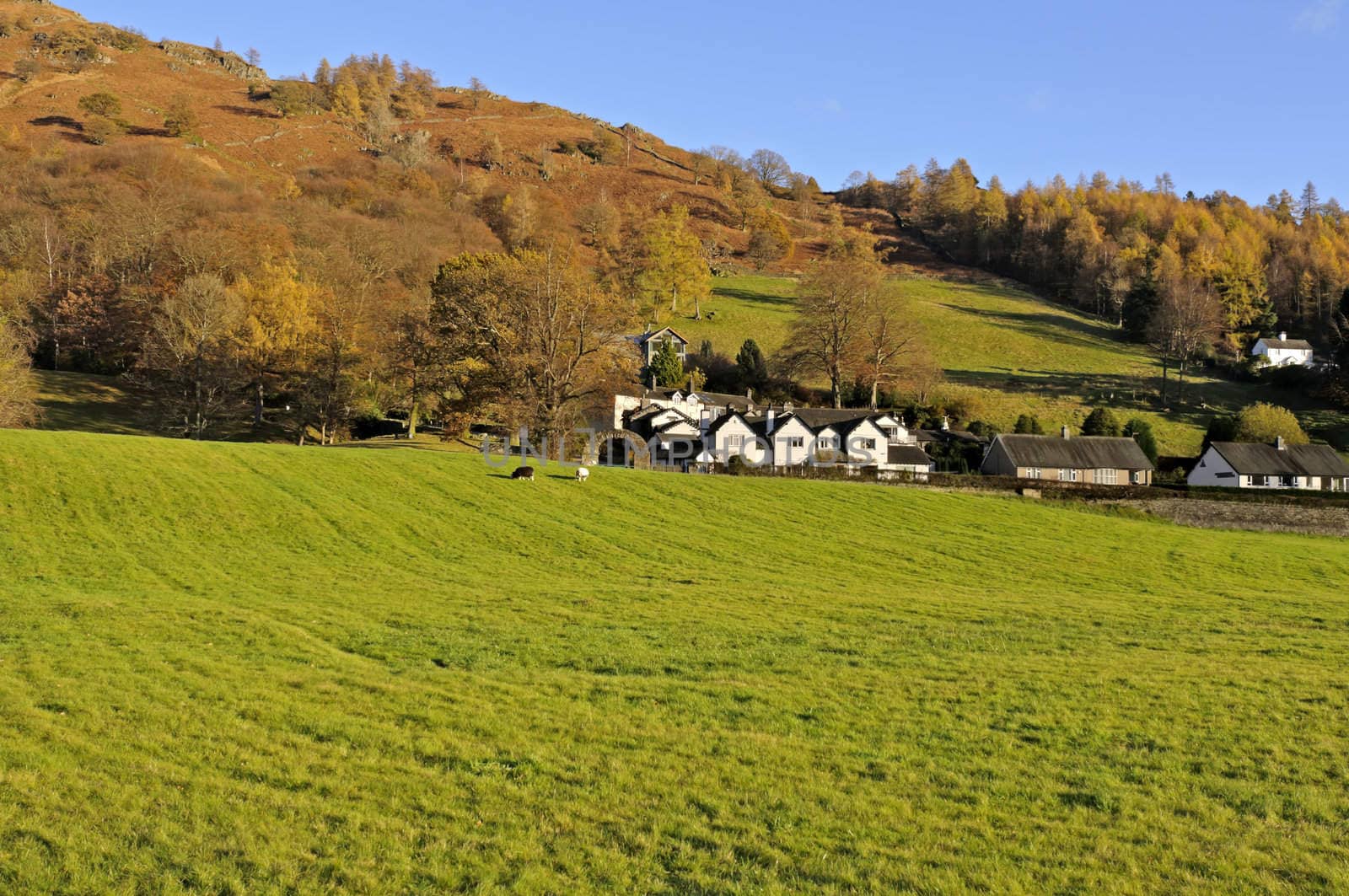 Great Rigg from Grasmere Lake District National Park Cumbria England