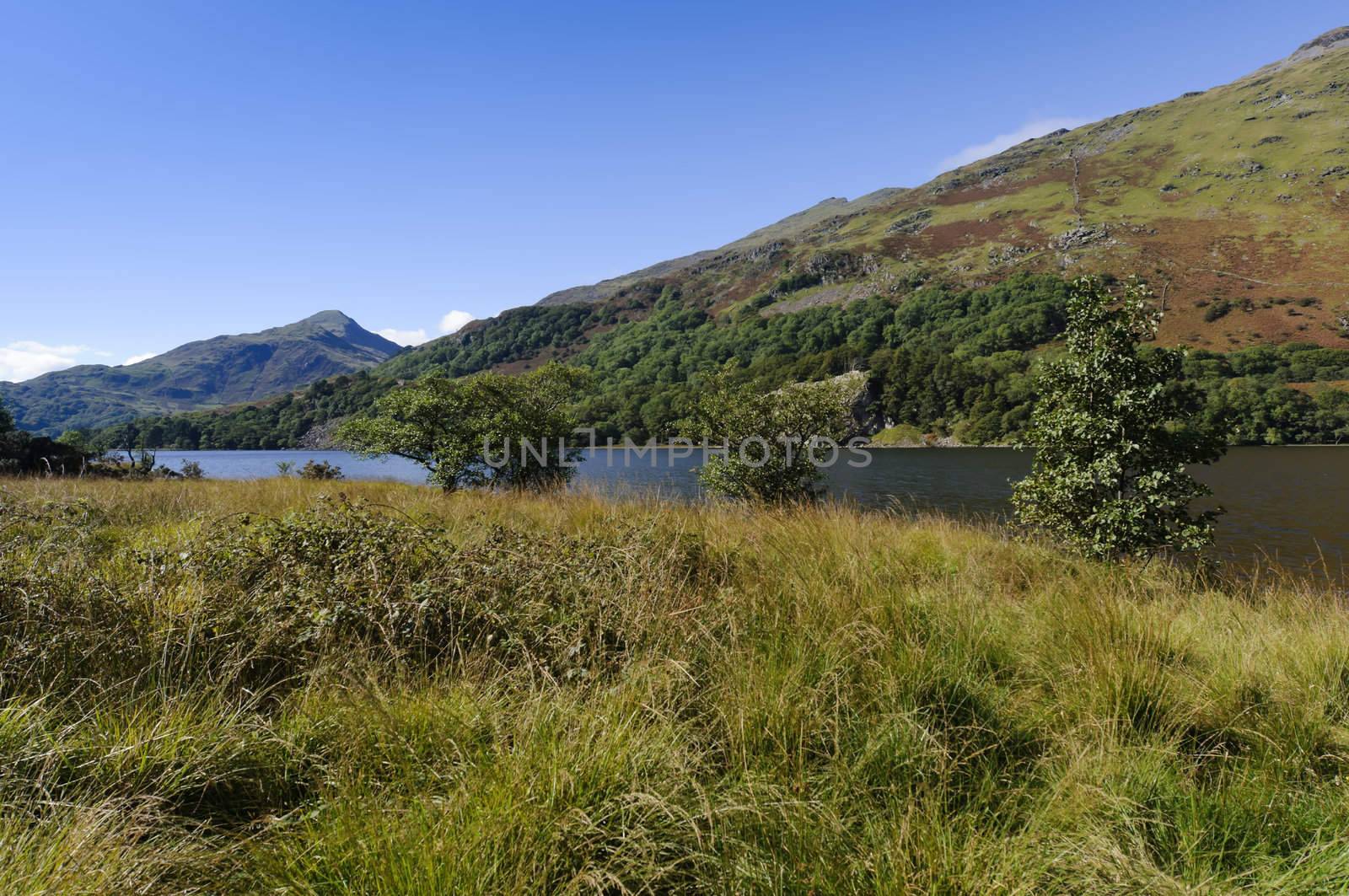 View of Llyn Gwynant in Snowdonia National Park Gwynedd North Wales