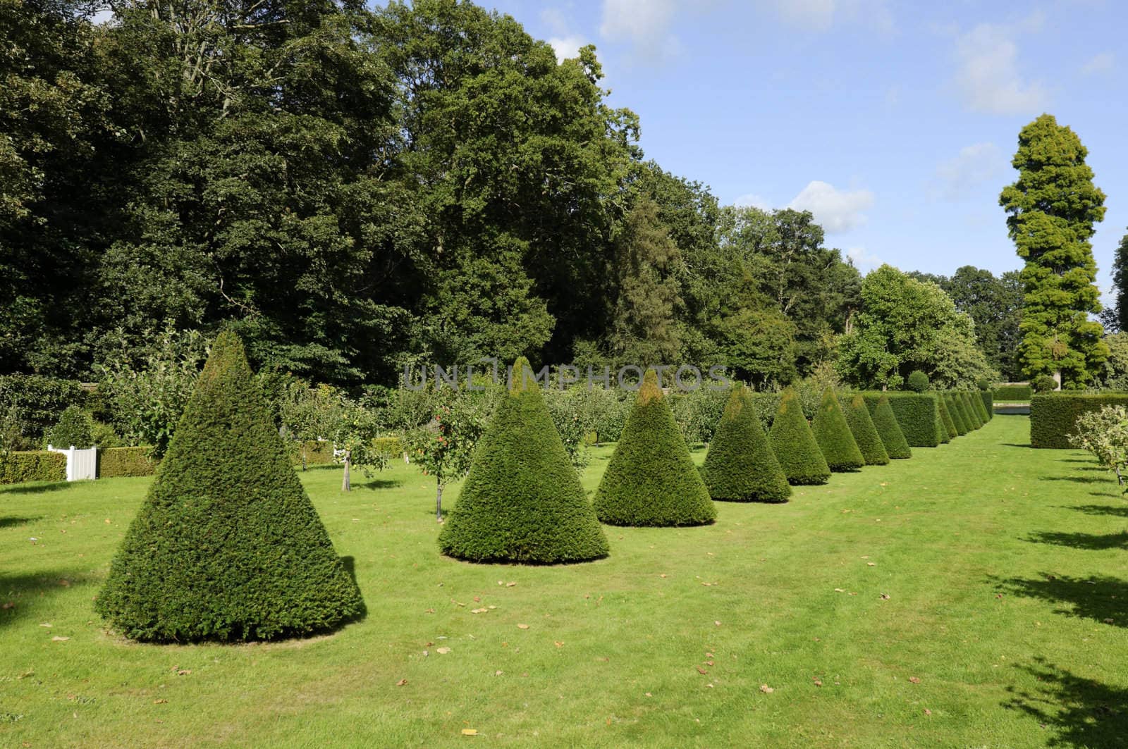 Formal gardens at Erddig Hall in Wrexham Wales UK
