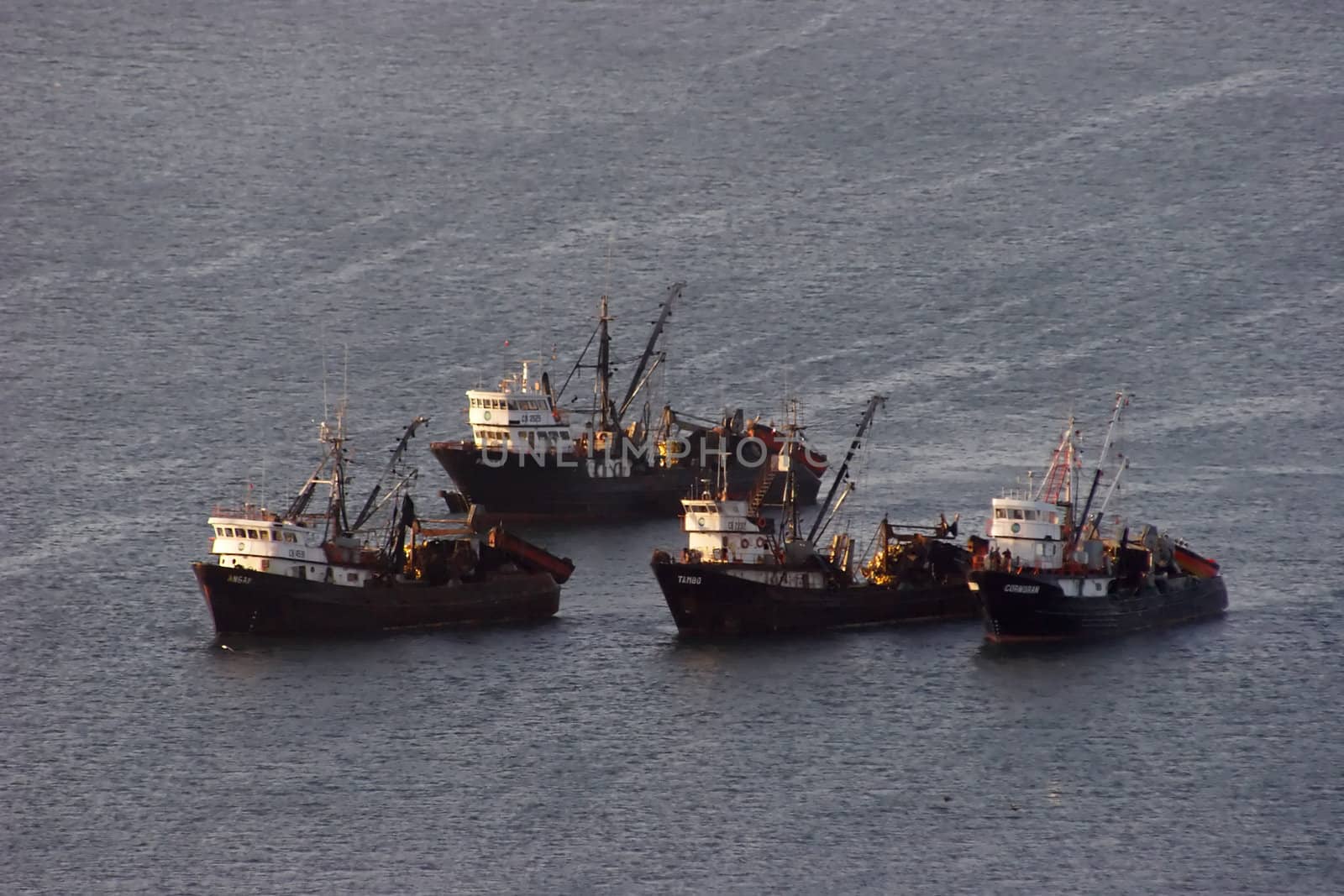 Group of trawlers in the ocean by azotov
