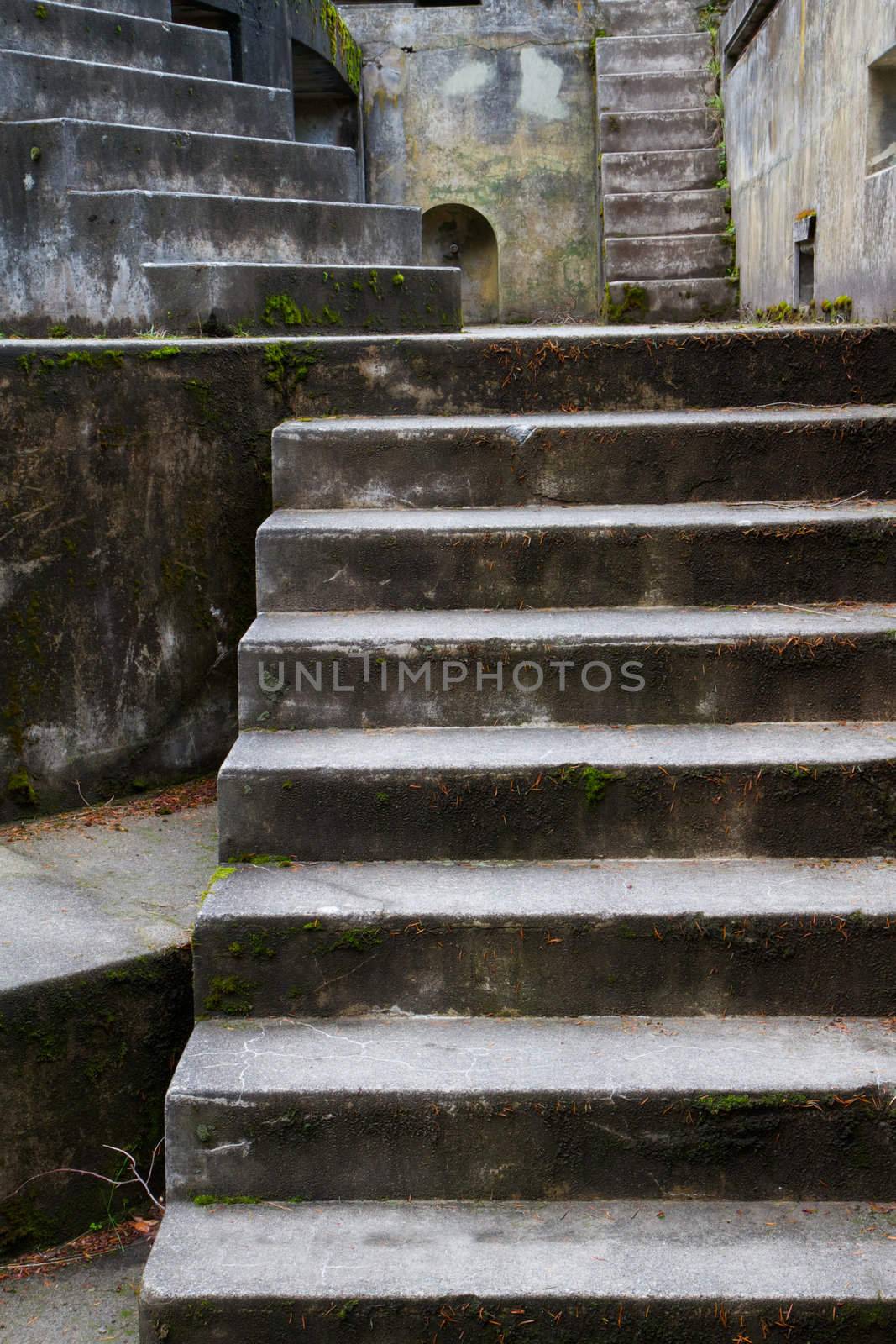 Fort Worden old artillery bunker moss covered steps