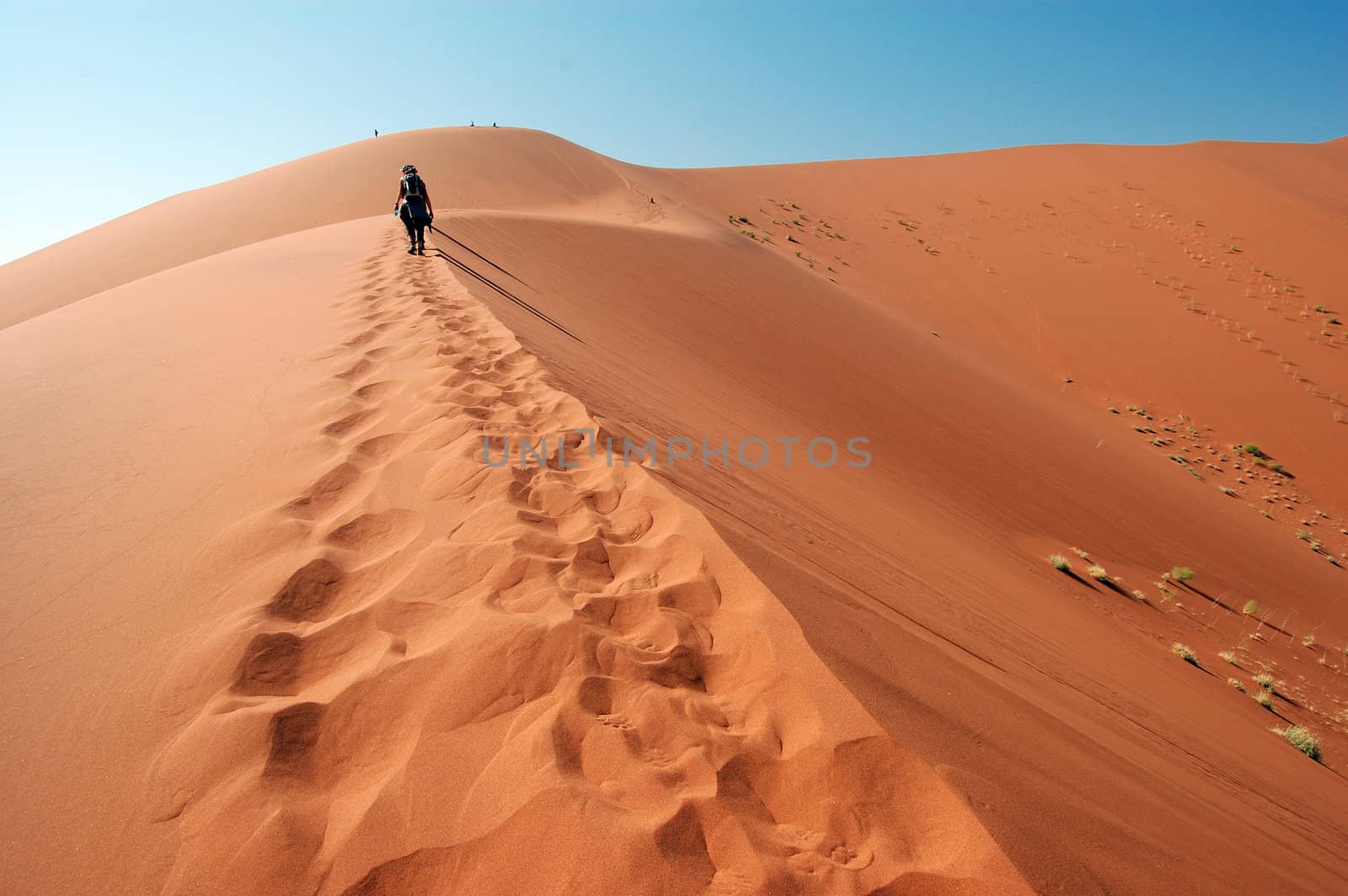 Red dune in the Namib Desert, Sossusvlei, Namibia
