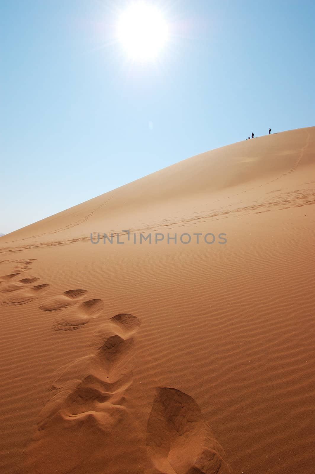Explorer the Red dune in the Desert