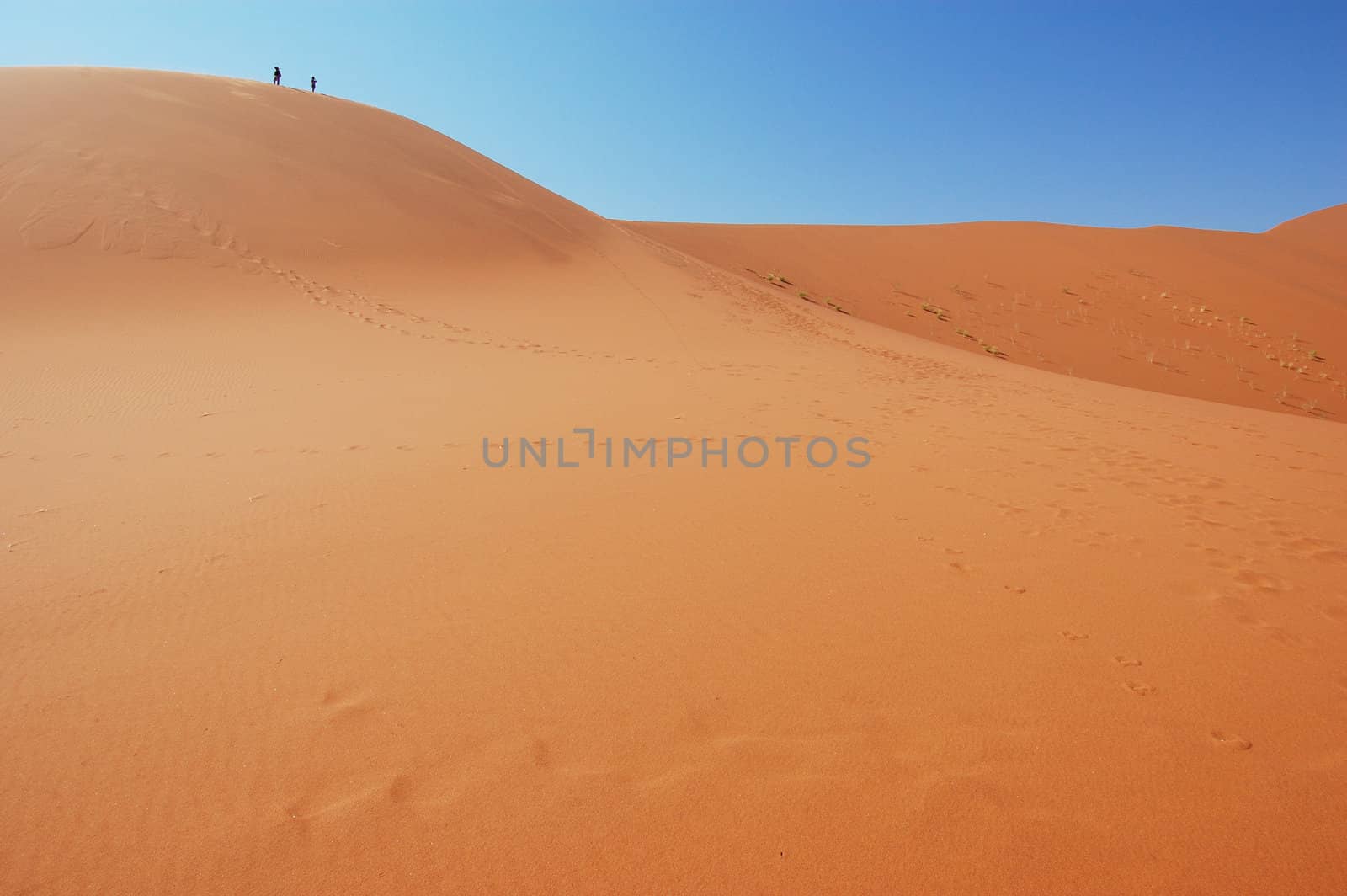 Dune in the Namib Desert, Sossusvlei, Namibia