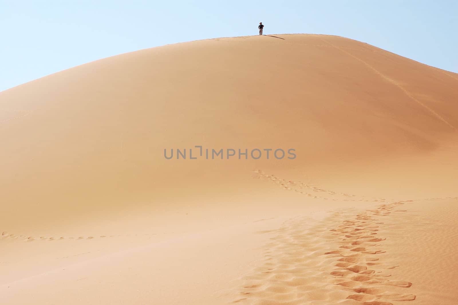 Dune in the Namib Desert, Sossusvlei, Namibia