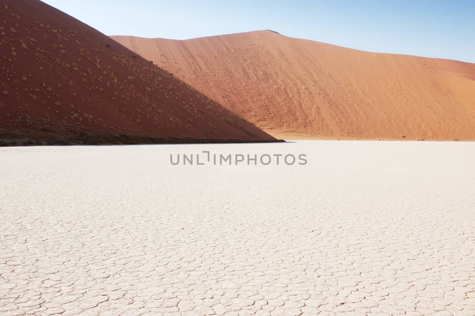 Dry terrain and dune - Lack of water. Namibia, Deadvlei, Sossuvlei.