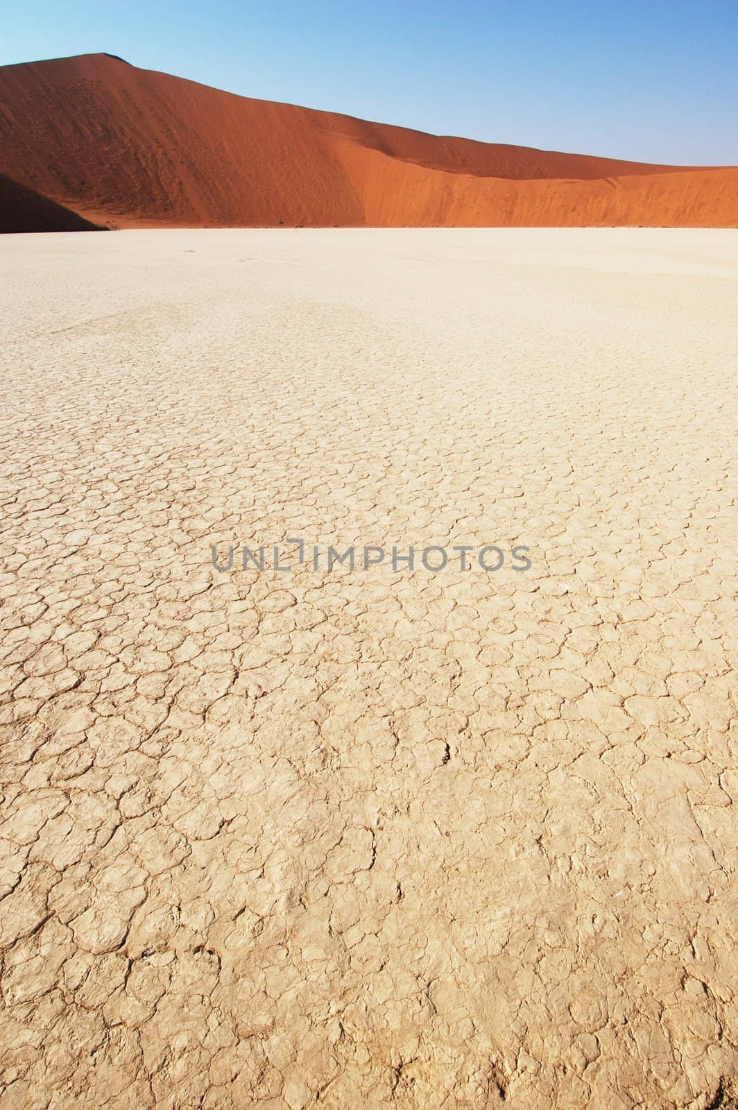 Dry terrain and dune - Lack of water. Namibia, Deadvlei, Sossuvlei.