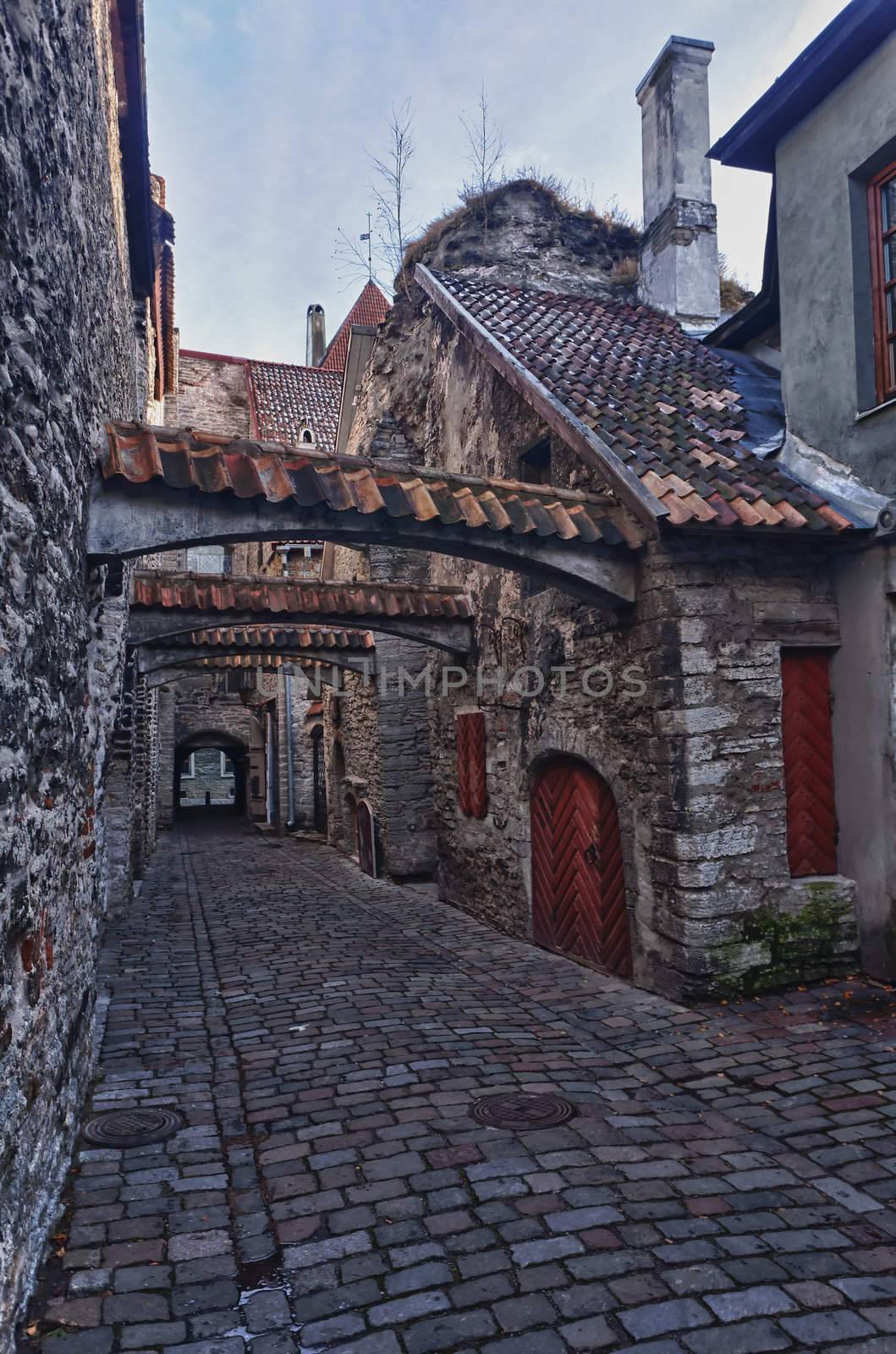 Old Tallinn houses in Katarina street taken in HDR to better show the details in the walls and cobbles