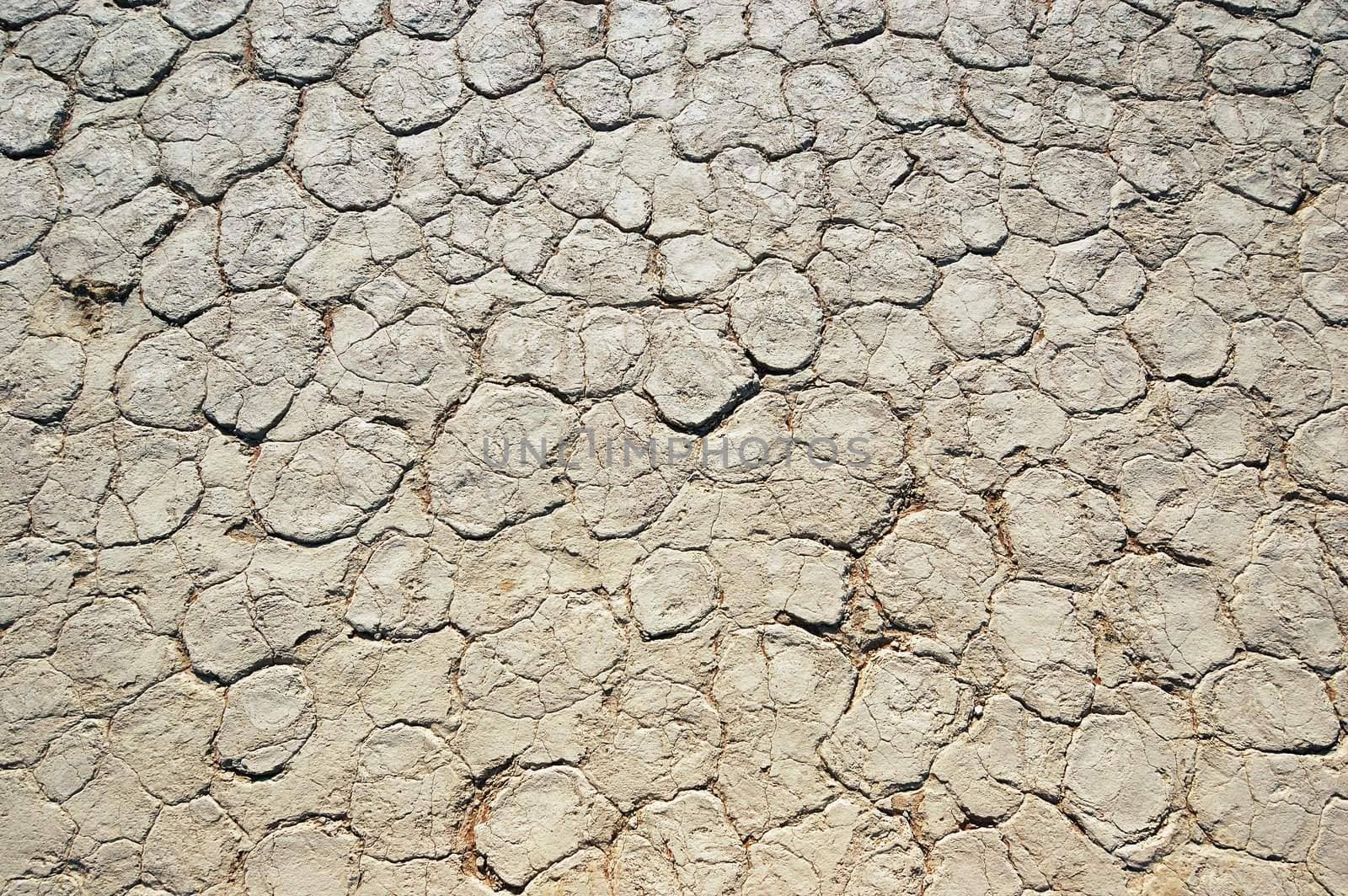 Dry terrain - Lack of water. Namibia, Sossuvlei.