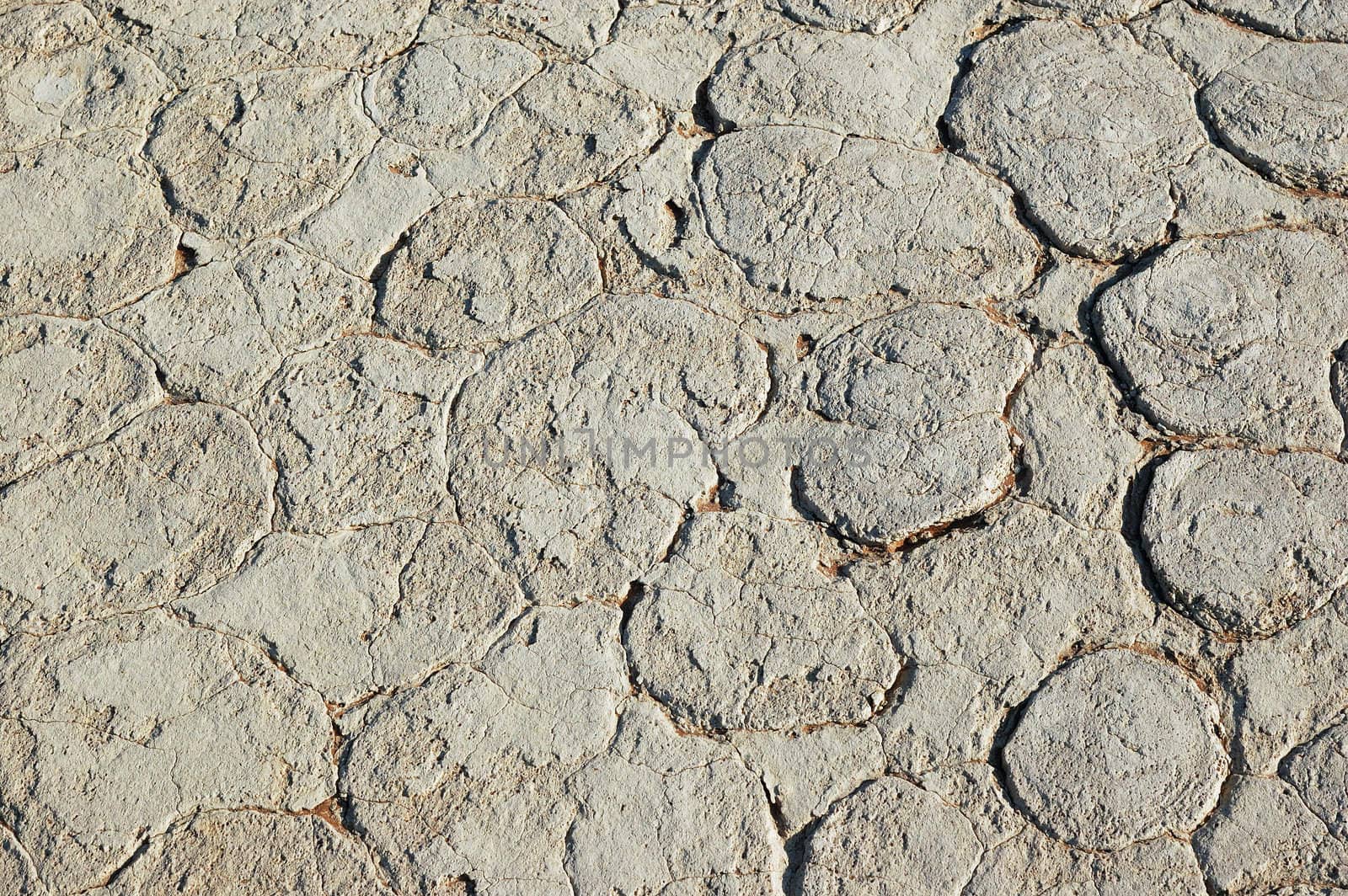 Dry terrain - Lack of water. Namibia, Sossuvlei.