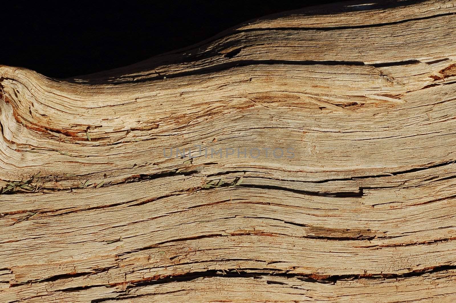 Old wood Background on black