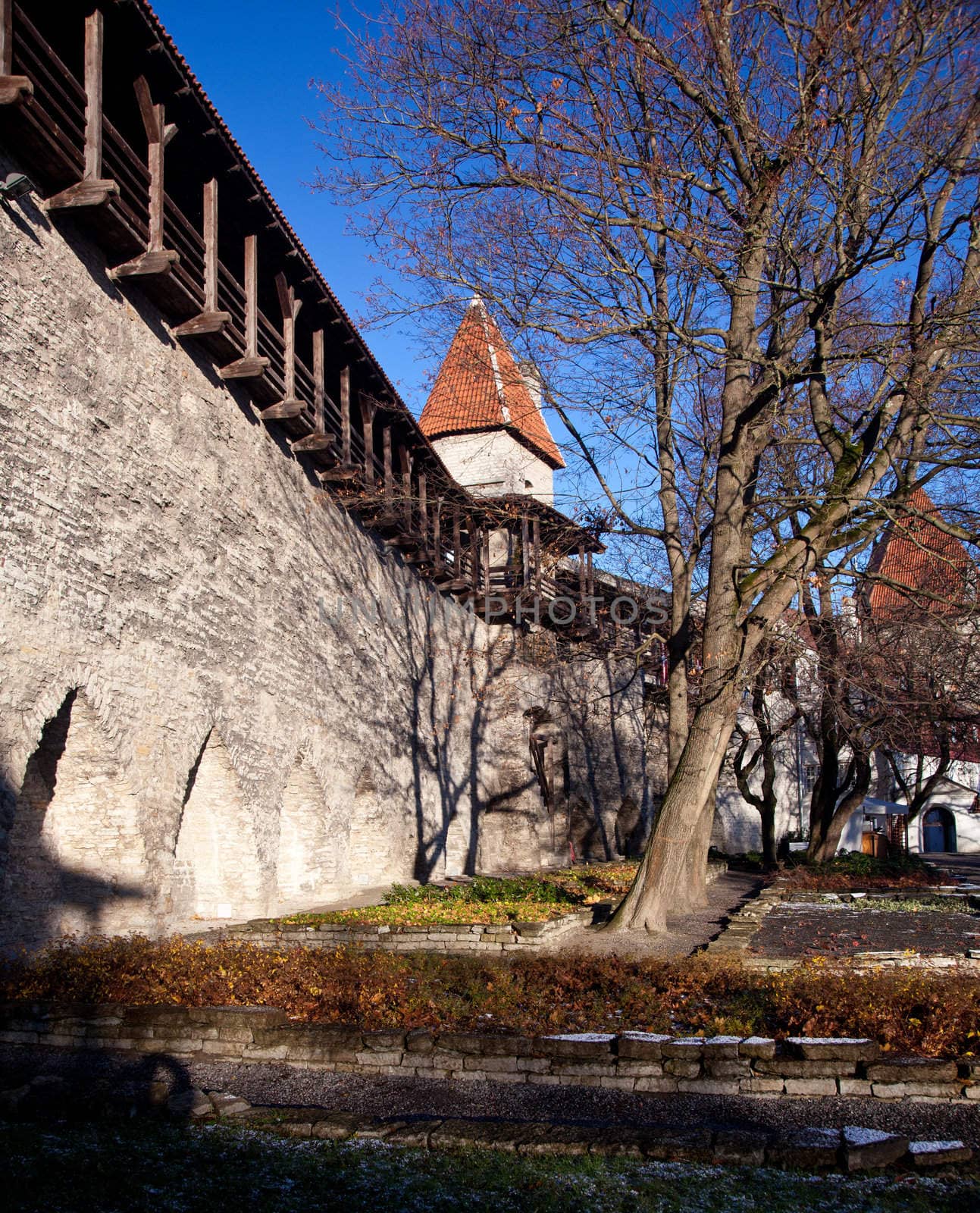 Old town walls in Tallinn by steheap