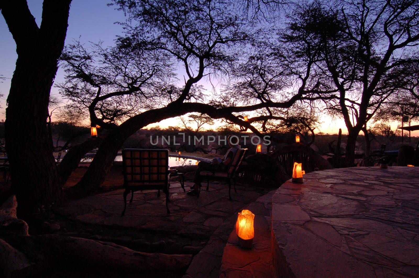 Beautiful african sunset, with swimming pool and acacia tree silhouette.