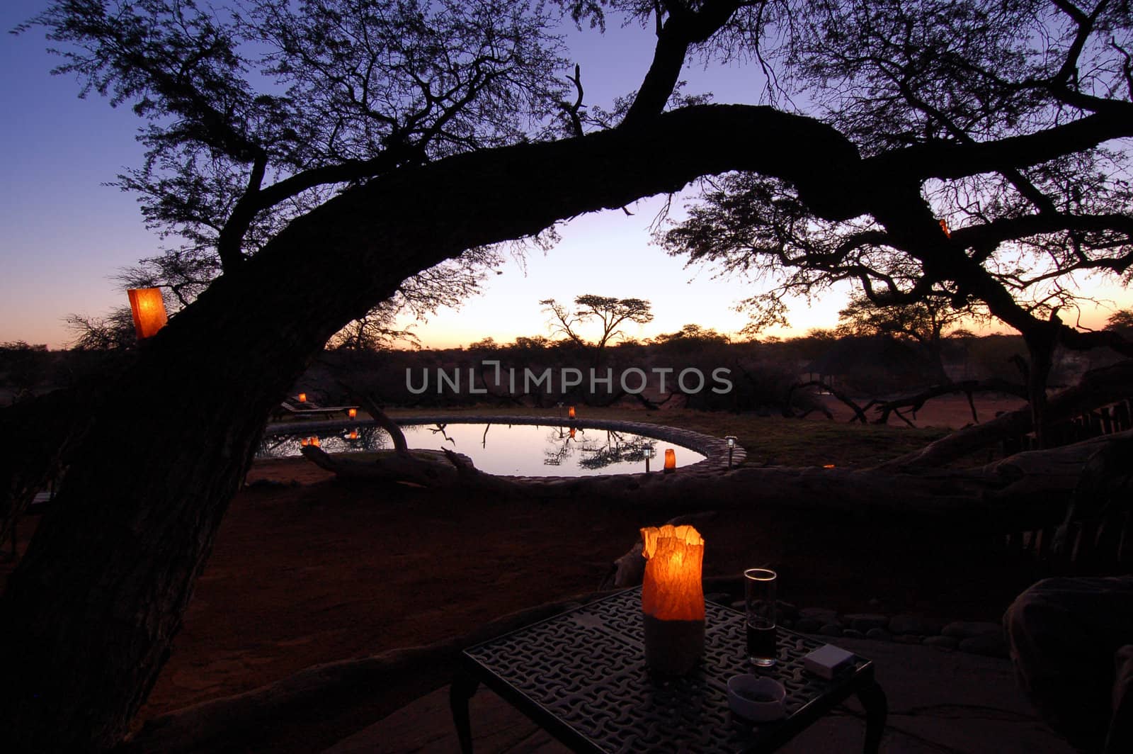 Beautiful african sunset , with swimming pool and acacia tree silhouette.