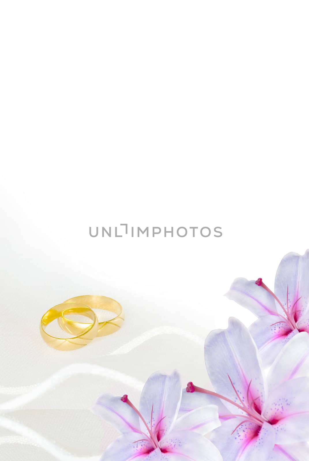 wedding invitation or greeting card blank with lily flowers and golden rings