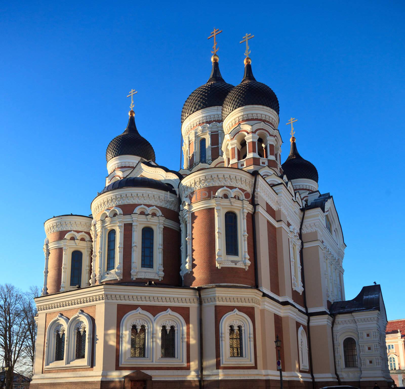 Alexander Nevsky Cathedral by steheap