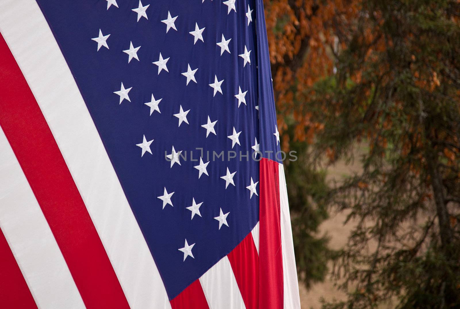 Close up of USA flag with autumn leaves in the background