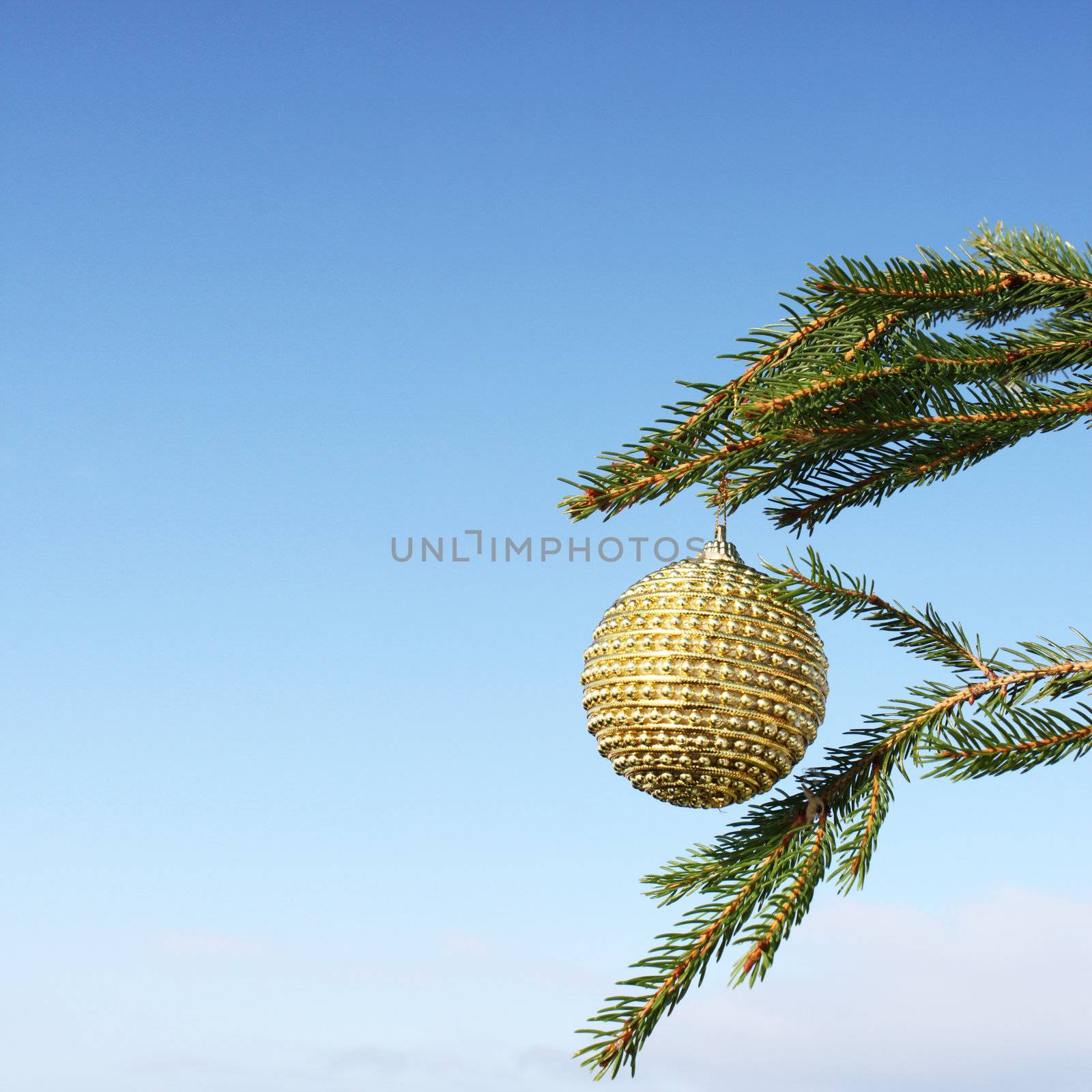 christmas bauble on christmas tree