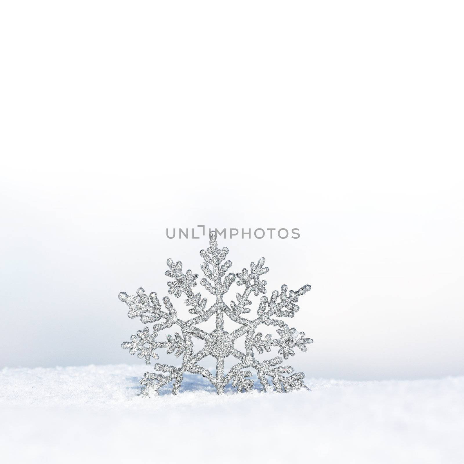 beautiful winter wallpaper by photochecker