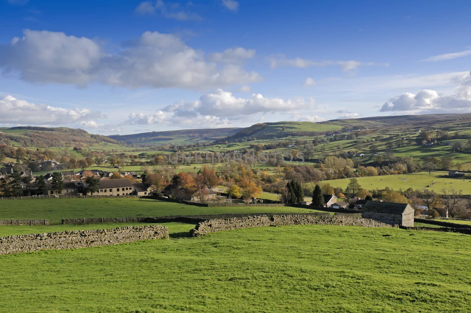 Farmalnd in Swaledale valley Yorkshire Dales England 