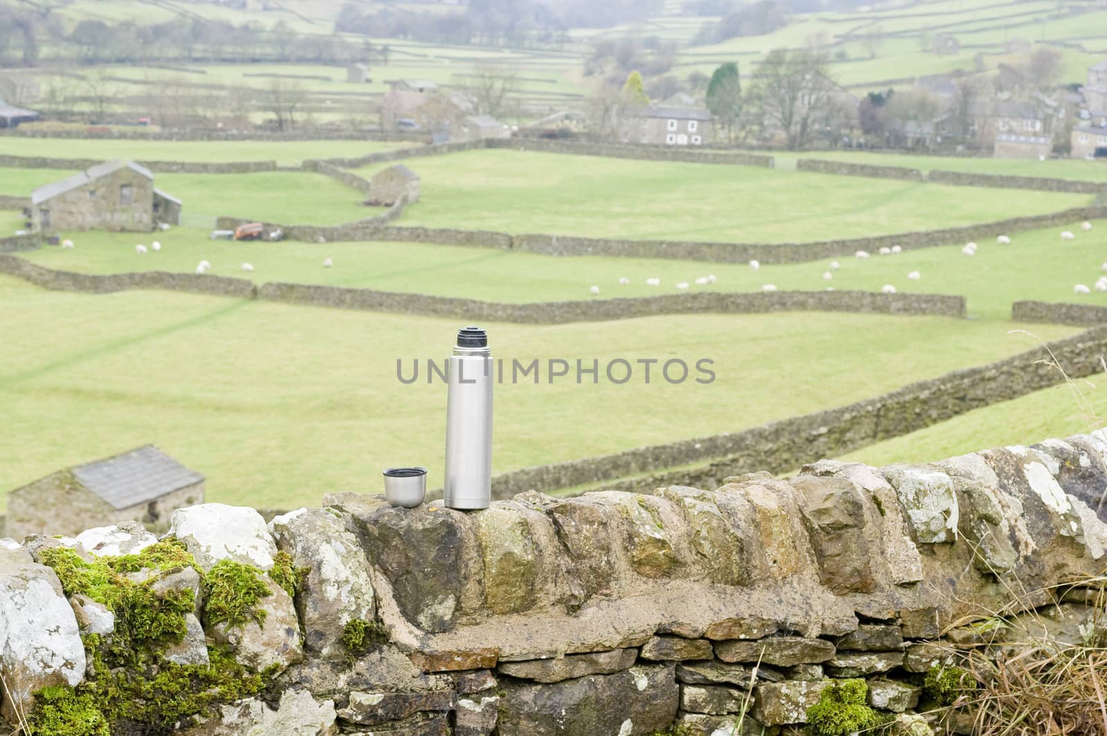 Swaledale in Yorkshire Dales North Yorkshire England