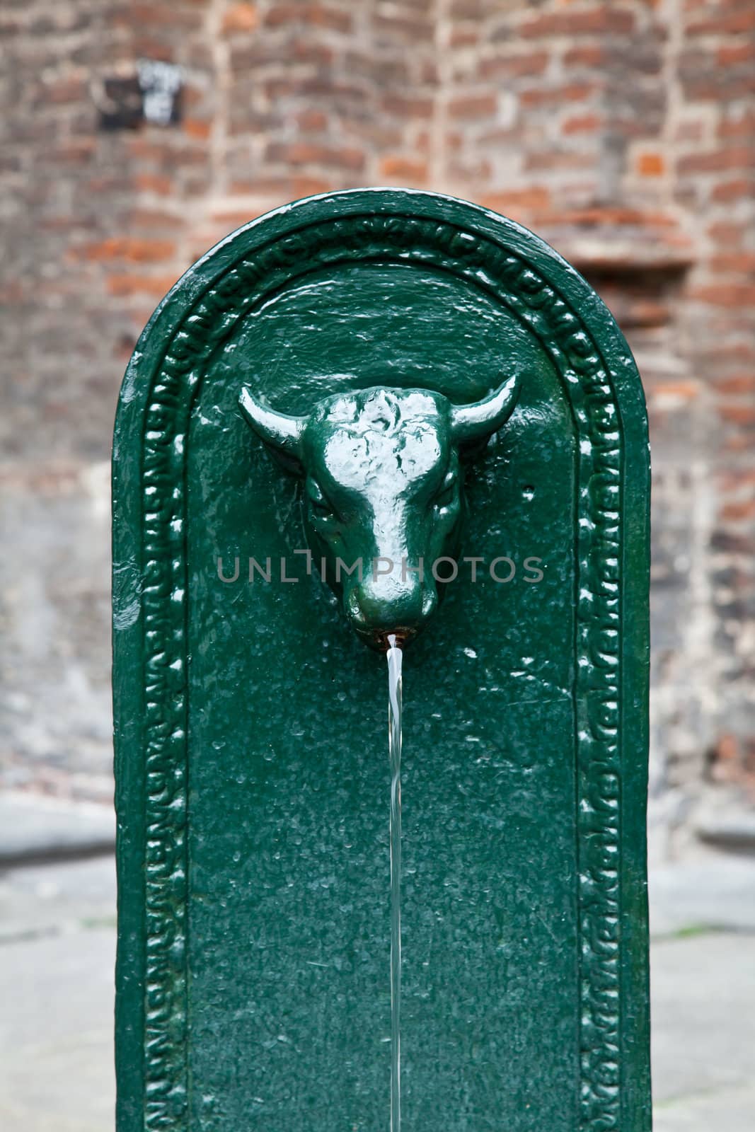 Traditional landmark of Turin town, Italy. Yhe bull is the symbol of the town