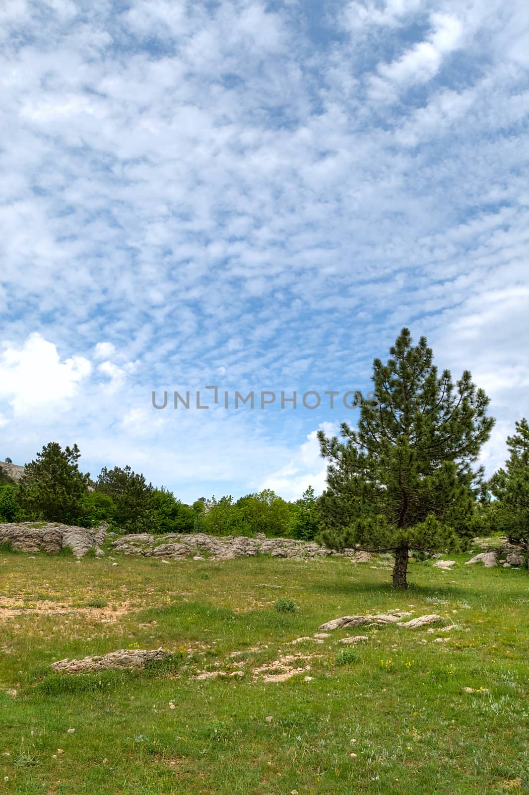 beautiful mountains landscape in summer