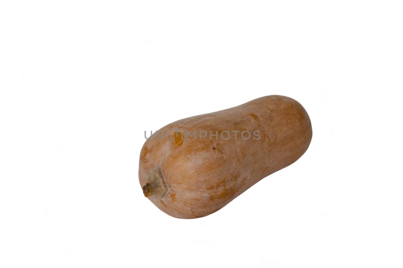 Fresh ripe yellow pumpkin in isolated over white background