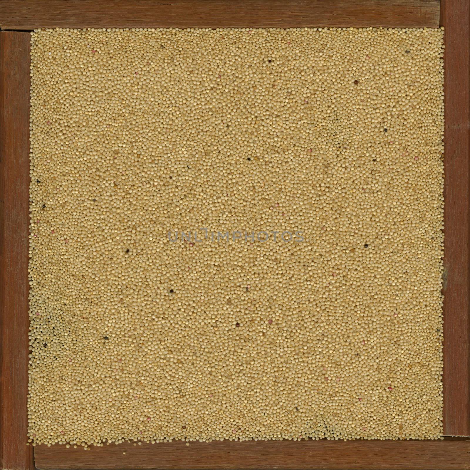 amaranth grain in a rustic wooden box or frame