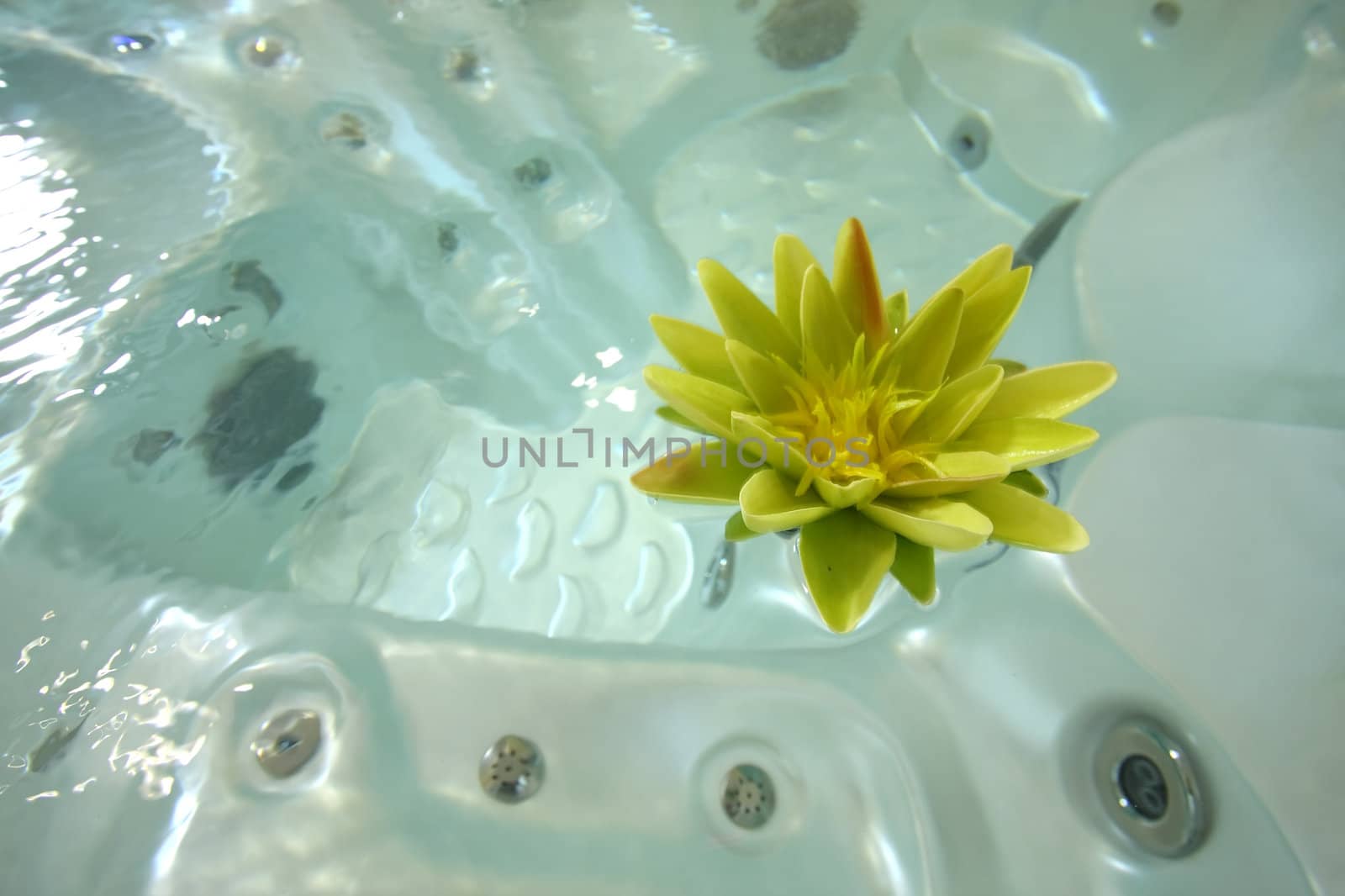 Jacuzzi with a lotus floating in it
