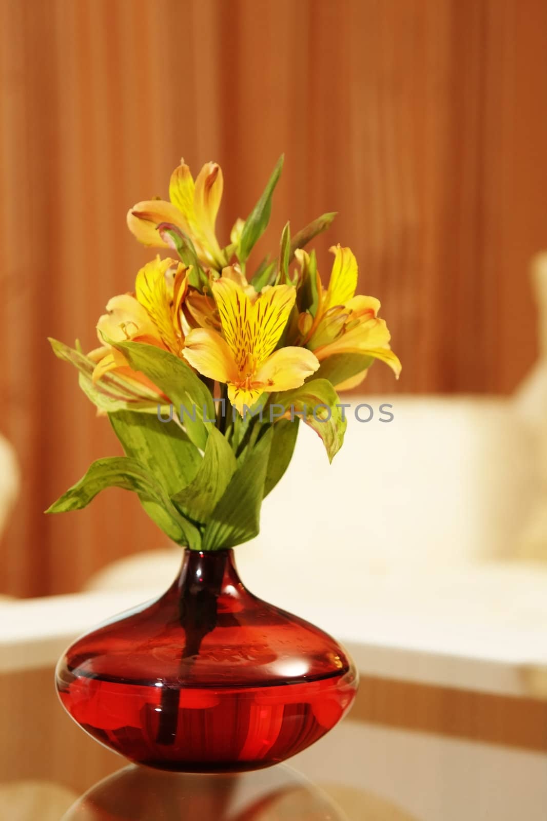 Flower in a vase on a table