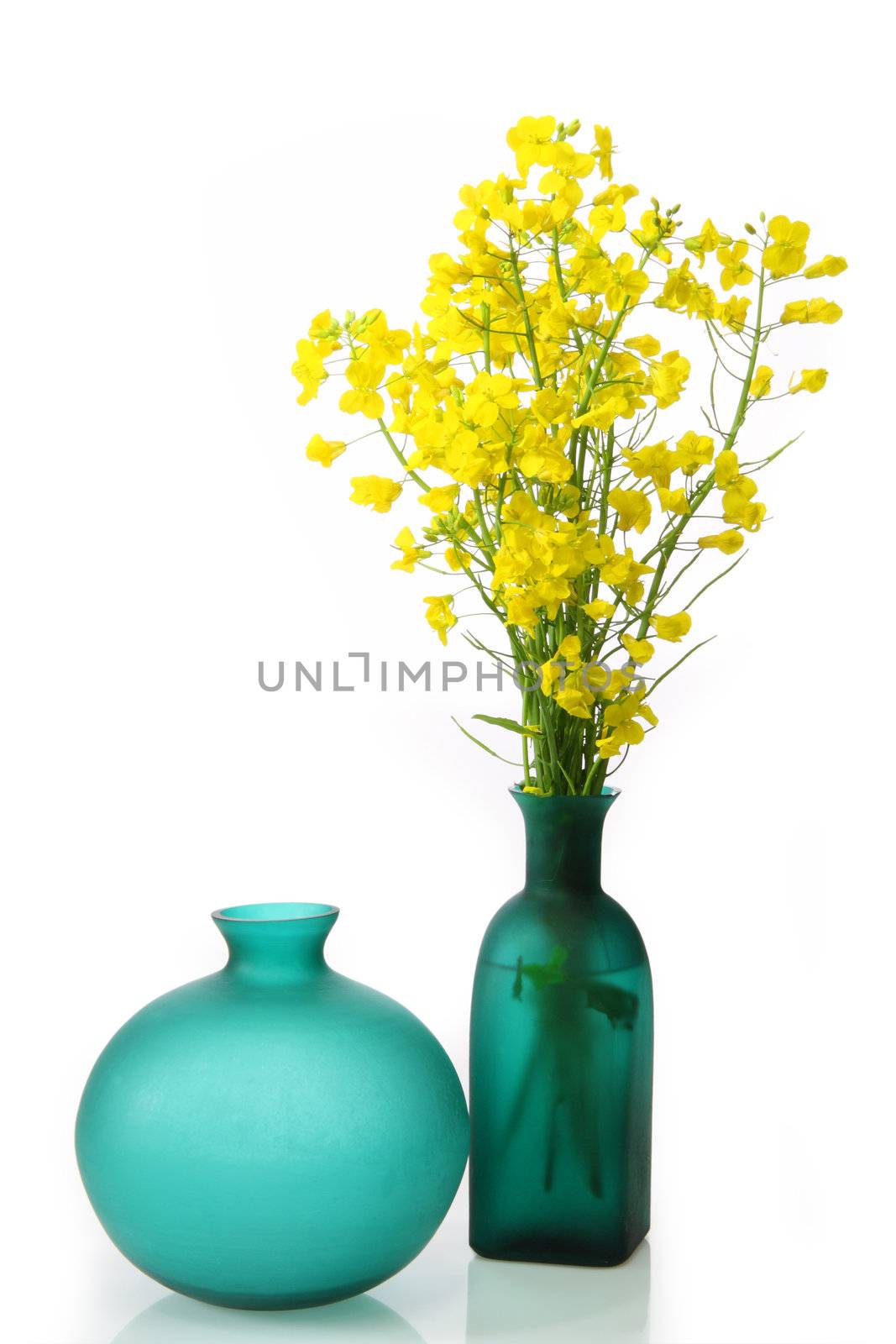 Green vases by Teamarbeit