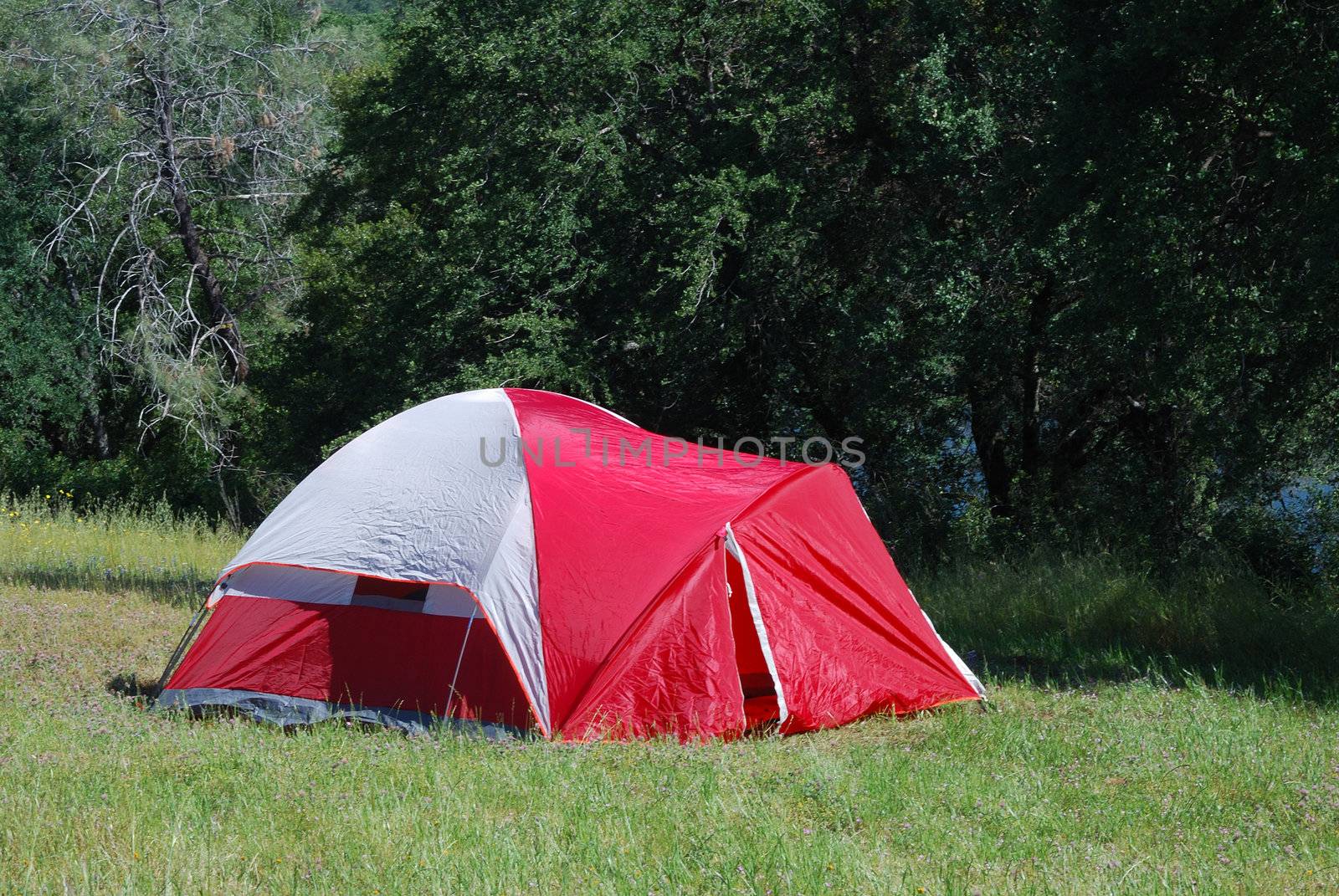 A red dome tent on green grass on a sunny day.