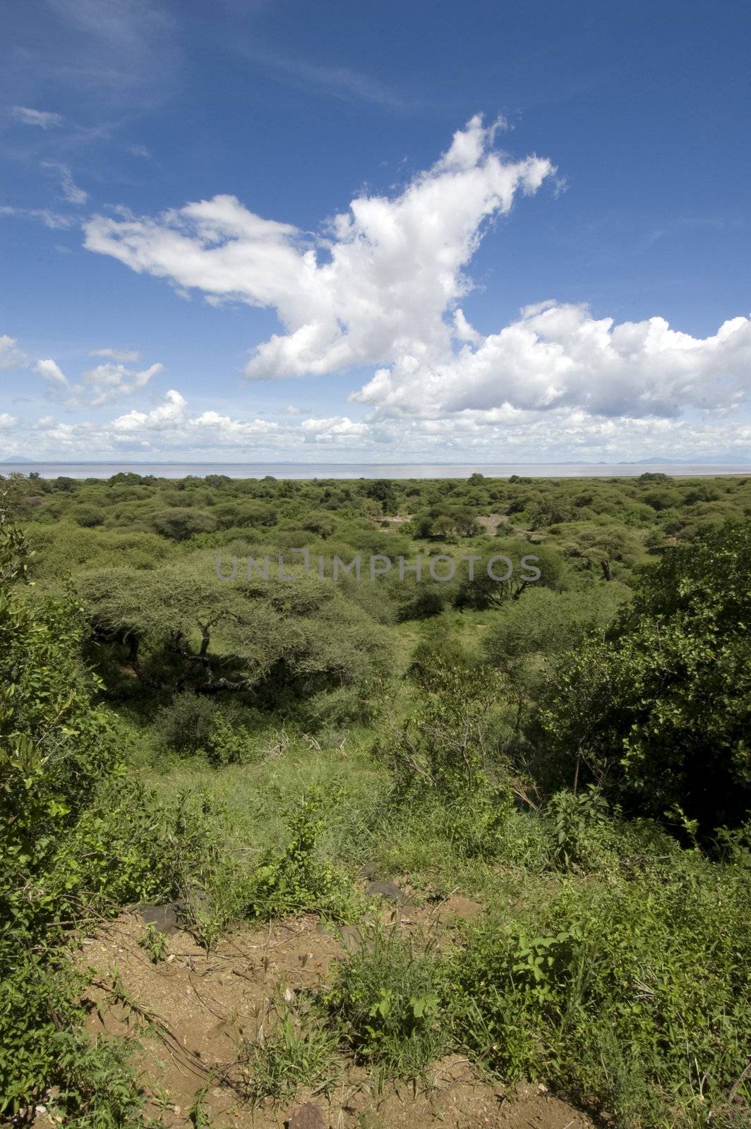 Lake Manyara National Park - Best of Tanzania