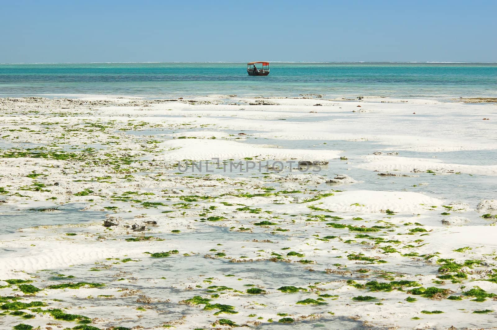 Boat on the sea. Tide. Zanzibar