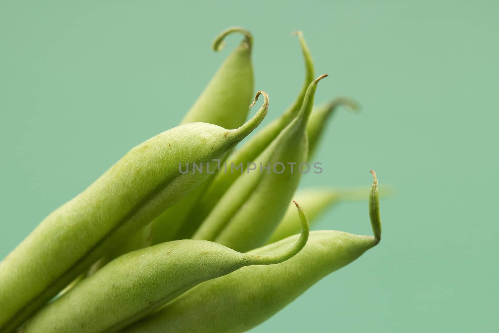 Green beans on green background 