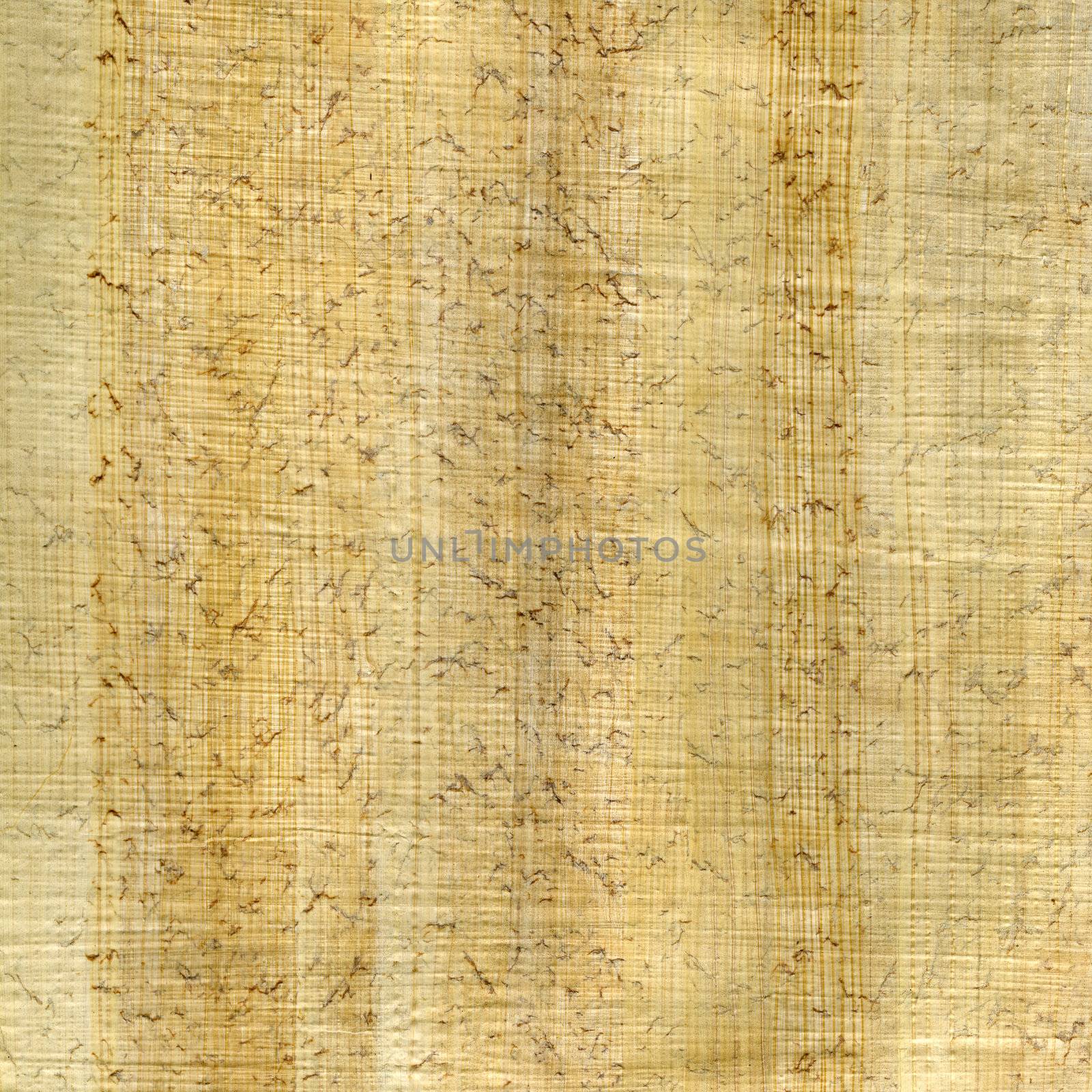 papyrus paper background by PixelsAway