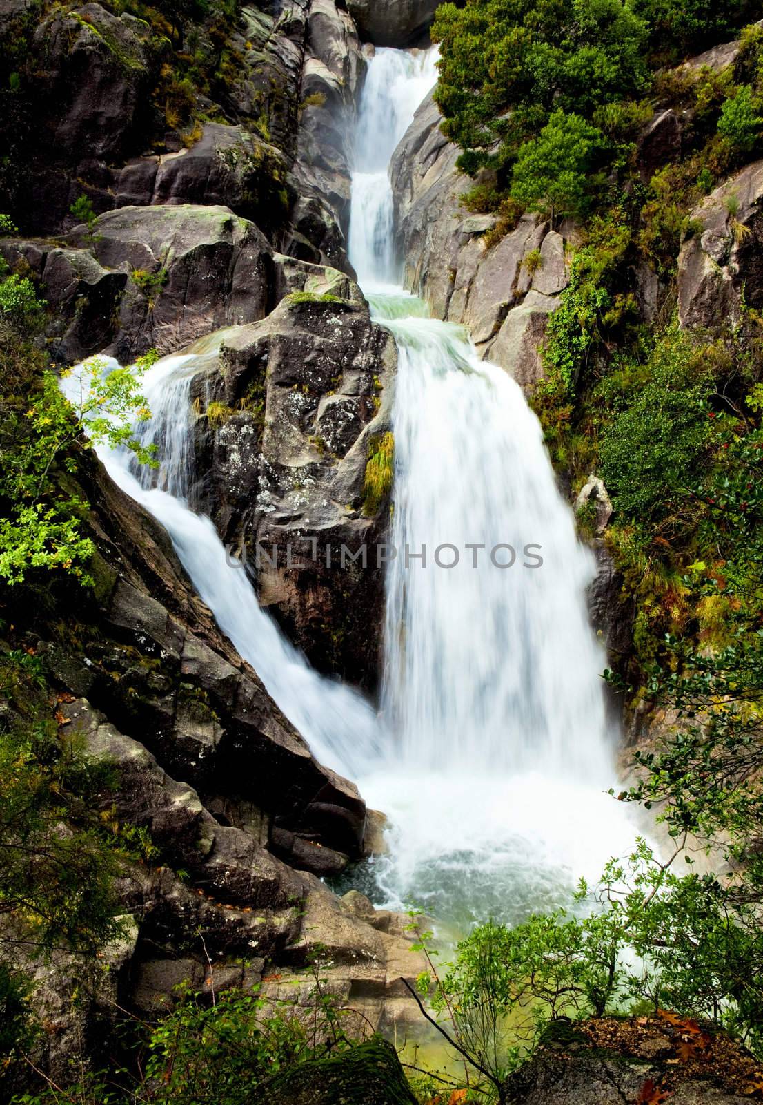 Beautiful waterfall of fresh and pure water 